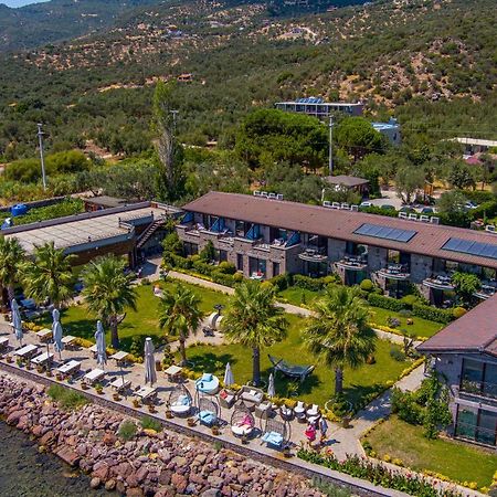 Assos Zeyti̇N Han Special Class Hotel Adults Only 12 Sokakagzi Екстериор снимка